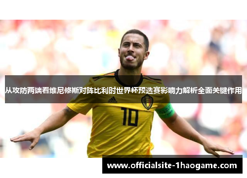 从攻防两端看维尼修斯对阵比利时世界杯预选赛影响力解析全面关键作用