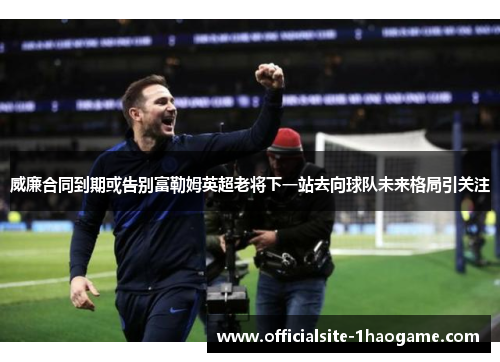 威廉合同到期或告别富勒姆英超老将下一站去向球队未来格局引关注