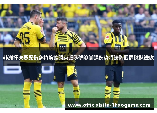 非洲杯决赛受伤多特前锋阿莱归队确诊脚踝伤势将缺阵四周球队进攻
